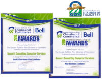 New Business Excellence & Small-Office Home-Office Excellence AWARDS